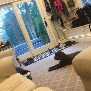 Meet your Posher, Gavin